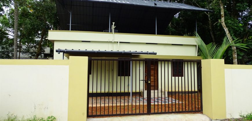house for sale in Puthanangadi Muhamma
