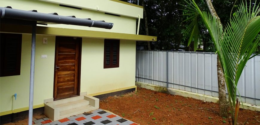 house for sale in Puthanangadi Muhamma