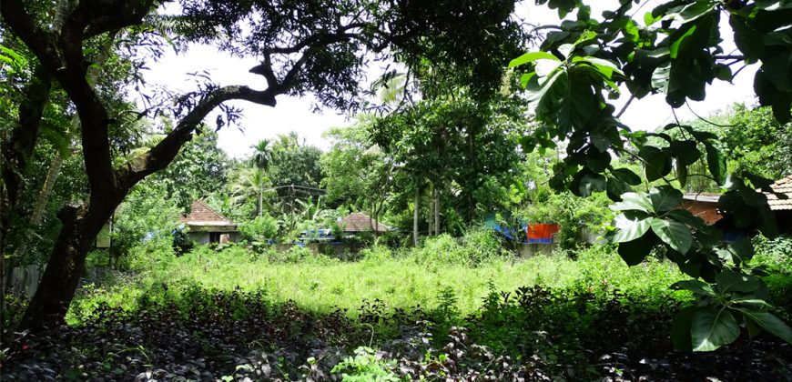 Plot for sale in 11th mile Cherthala