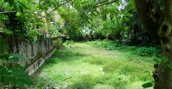 land for sale in Cherthala Town
