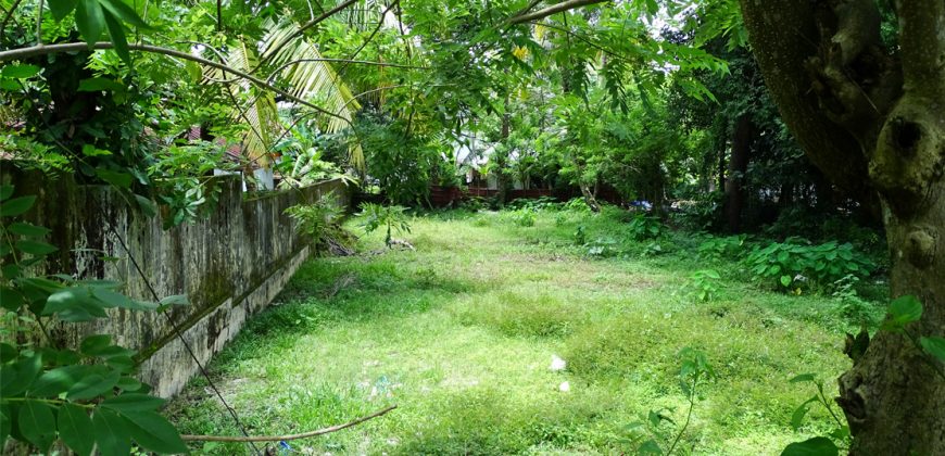 land for sale in Cherthala Town