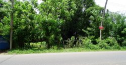 land for sale in Cherthala Town