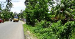 land for sale in Cherthala Town