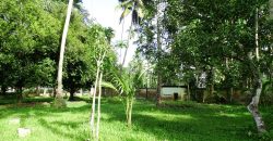 8 acre vembanad lake frontage land for sale in pallippuram cherthala