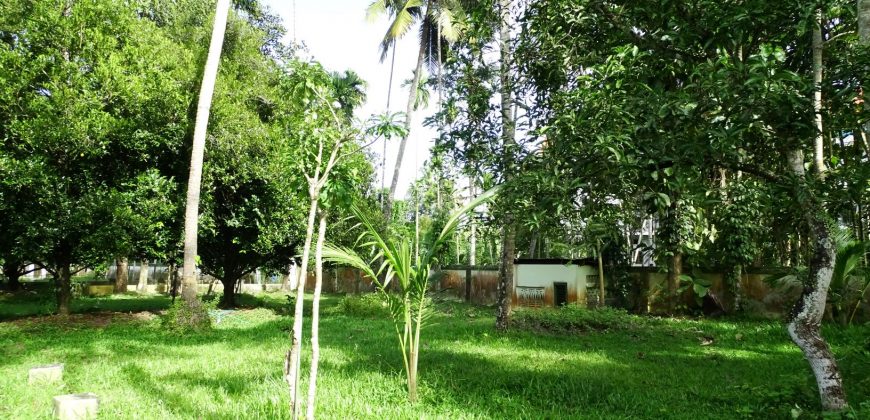 8 acre vembanad lake frontage land for sale in pallippuram cherthala
