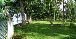 8 acre vembanad lake frontage land for sale in pallippuram cherthala