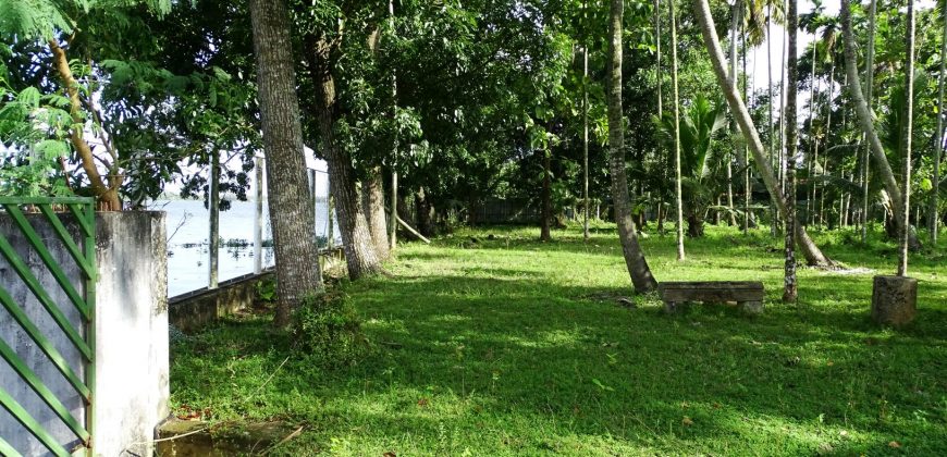 8 acre vembanad lake frontage land for sale in pallippuram cherthala