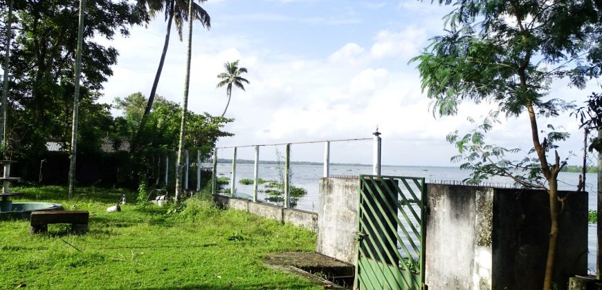 8 acre vembanad lake frontage land for sale in pallippuram cherthala