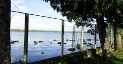 8 acre vembanad lake frontage land for sale in pallippuram cherthala
