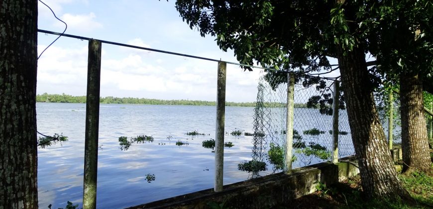 8 acre vembanad lake frontage land for sale in pallippuram cherthala