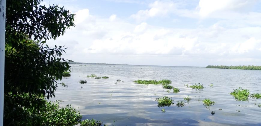 8 acre vembanad lake frontage land for sale in pallippuram cherthala