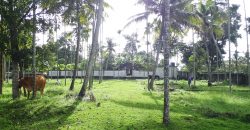 8 acre vembanad lake frontage land for sale in pallippuram cherthala