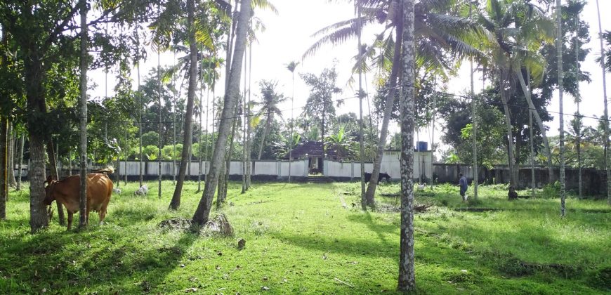 8 acre vembanad lake frontage land for sale in pallippuram cherthala