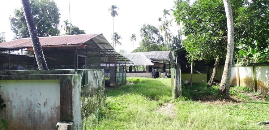 8 acre vembanad lake frontage land for sale in pallippuram cherthala