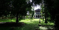 8 acre vembanad lake frontage land for sale in pallippuram cherthala