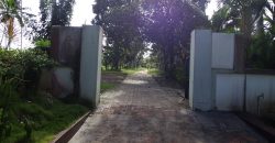 8 acre vembanad lake frontage land for sale in pallippuram cherthala