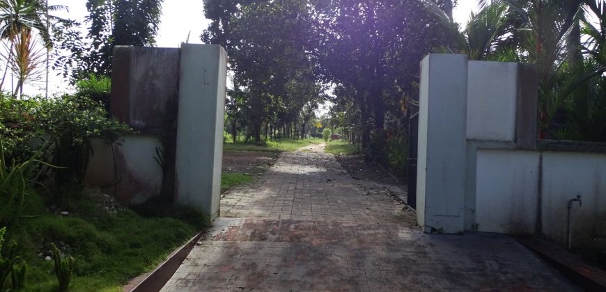 8 acre vembanad lake frontage land for sale in pallippuram cherthala