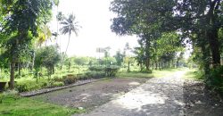 8 acre vembanad lake frontage land for sale in pallippuram cherthala