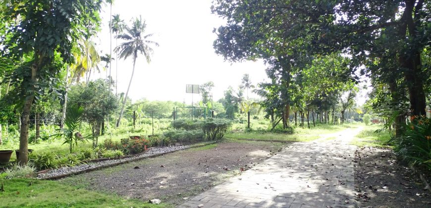8 acre vembanad lake frontage land for sale in pallippuram cherthala