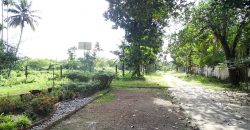 8 acre vembanad lake frontage land for sale in pallippuram cherthala
