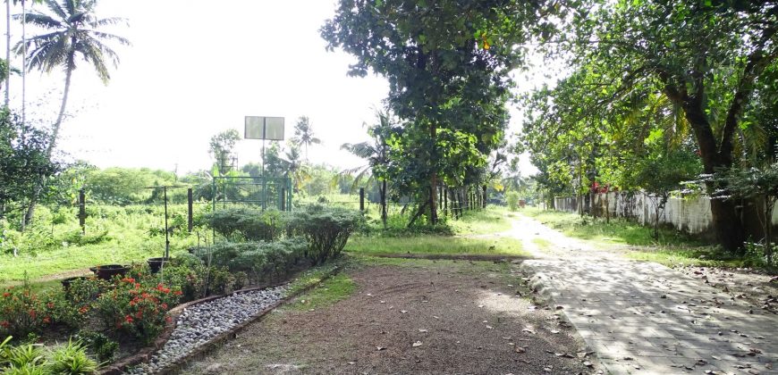 8 acre vembanad lake frontage land for sale in pallippuram cherthala