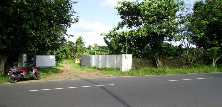 8 acre vembanad lake frontage land for sale in pallippuram cherthala
