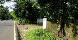 8 acre vembanad lake frontage land for sale in pallippuram cherthala