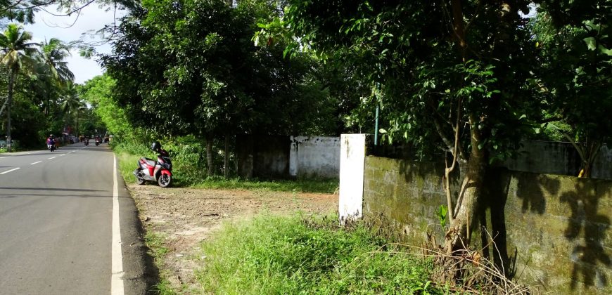 8 acre vembanad lake frontage land for sale in pallippuram cherthala