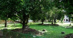 8 acre vembanad lake frontage land for sale in pallippuram cherthala