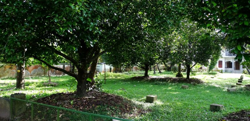 8 acre vembanad lake frontage land for sale in pallippuram cherthala