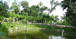 8 acre vembanad lake frontage land for sale in pallippuram cherthala