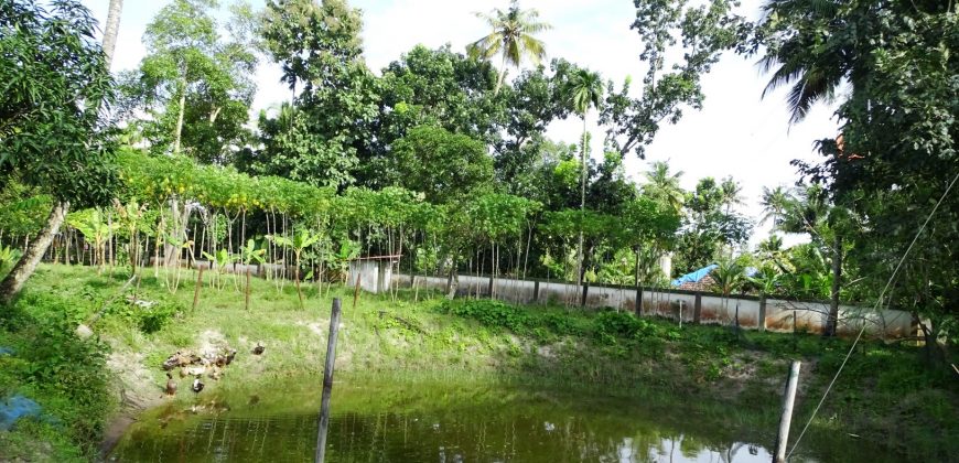 8 acre vembanad lake frontage land for sale in pallippuram cherthala