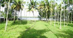 8 acre vembanad lake frontage land for sale in pallippuram cherthala