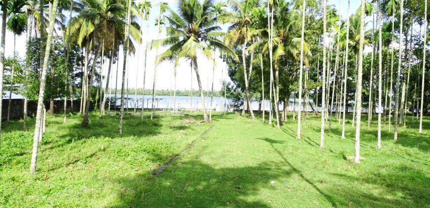 8 acre vembanad lake frontage land for sale in pallippuram cherthala