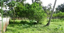 8 acre vembanad lake frontage land for sale in pallippuram cherthala