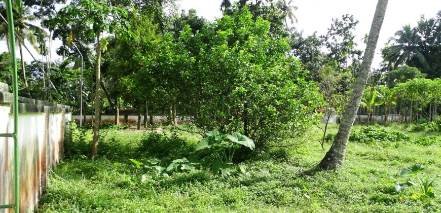 8 acre vembanad lake frontage land for sale in pallippuram cherthala