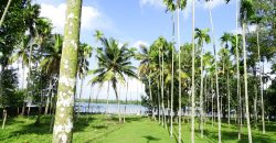8 acre vembanad lake frontage land for sale in pallippuram cherthala