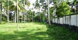 8 acre vembanad lake frontage land for sale in pallippuram cherthala
