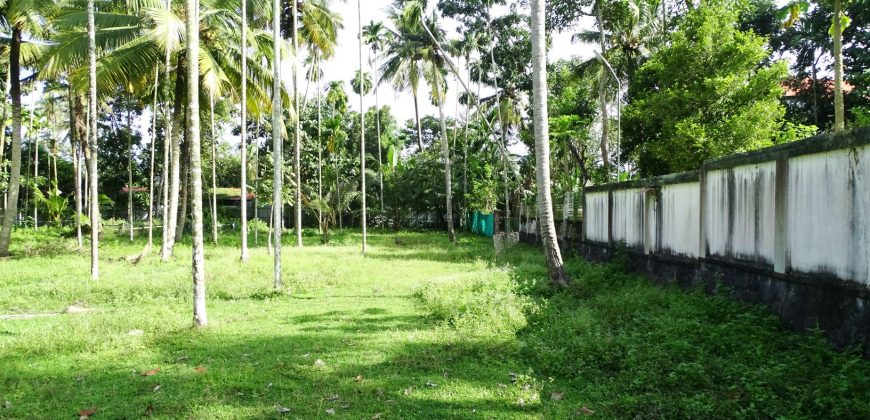 8 acre vembanad lake frontage land for sale in pallippuram cherthala