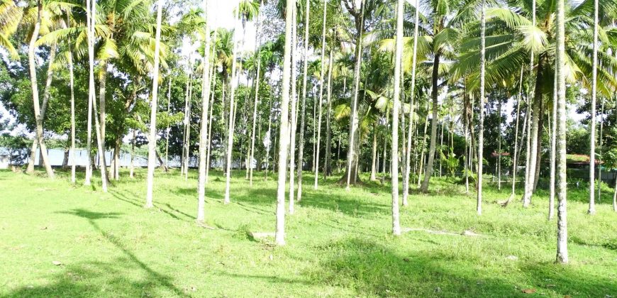 8 acre vembanad lake frontage land for sale in pallippuram cherthala