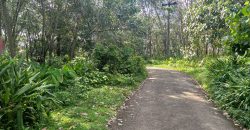 Land for sale in Rayamangalam Land for sale in Rayamangalam