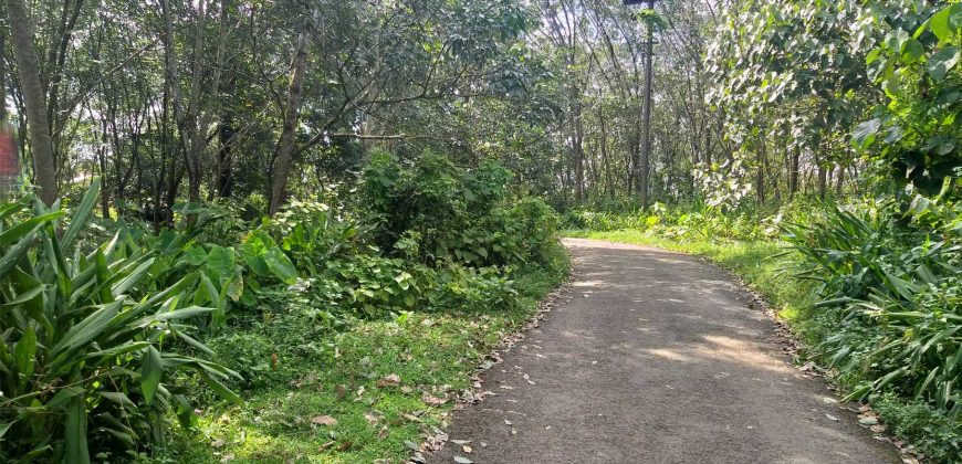 Land for sale in Rayamangalam