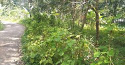 Land for sale in Rayamangalam Land for sale in Rayamangalam