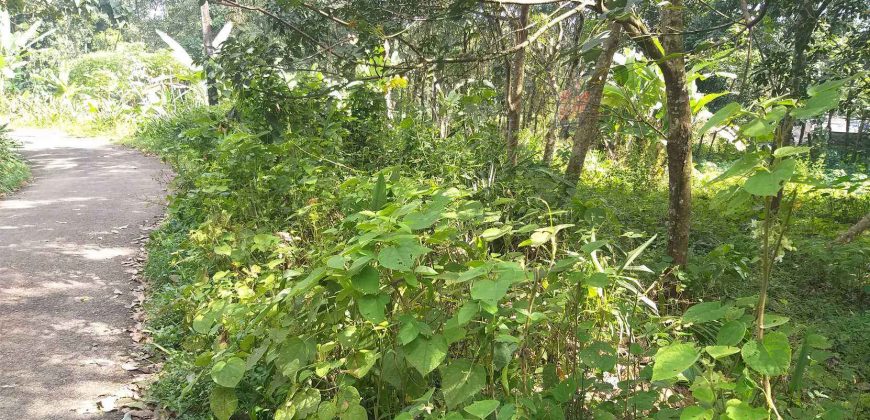 Land for sale in Rayamangalam