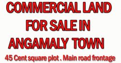 Plot for sale in Angamaly Town Plot for sale in Angamaly Town